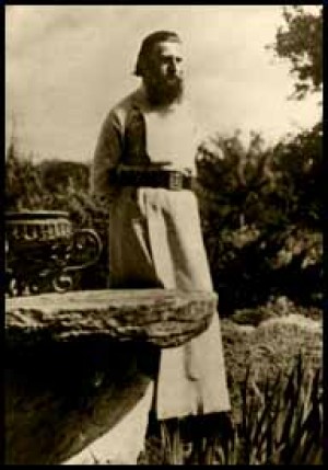 fanbluelionspanalamoarte