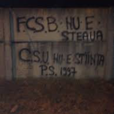 Mogosoaia.Satelit.FCSB